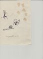 thumbnails/008-Kathelene0009.jpeg.small.jpeg