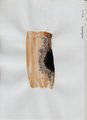 ../thumbnails/013-Kathelene0014.jpeg.small.jpeg