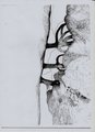../thumbnails/015-Kathelene0016.jpeg.small.jpeg