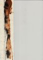 ../thumbnails/018-Kathelene0019.jpeg.small.jpeg