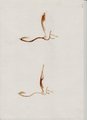 ../thumbnails/024-Kathelene0025.jpeg.small.jpeg