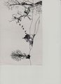 ../thumbnails/029-Kathelene0030.jpeg.small.jpeg