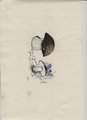 ../thumbnails/031-Kathelene0032.jpeg.small.jpeg
